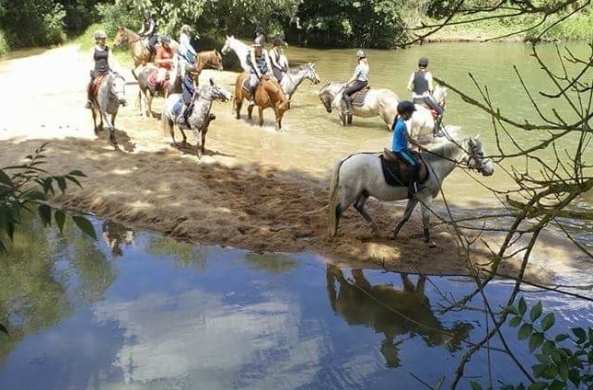 ...Vacances d'été au Poney club
