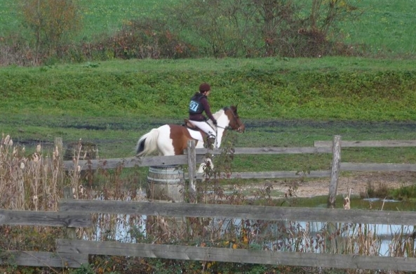...Vacances de Février au Poney club