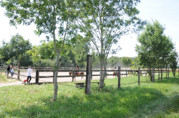 ...Vacances d'été au Poney club de Marigny