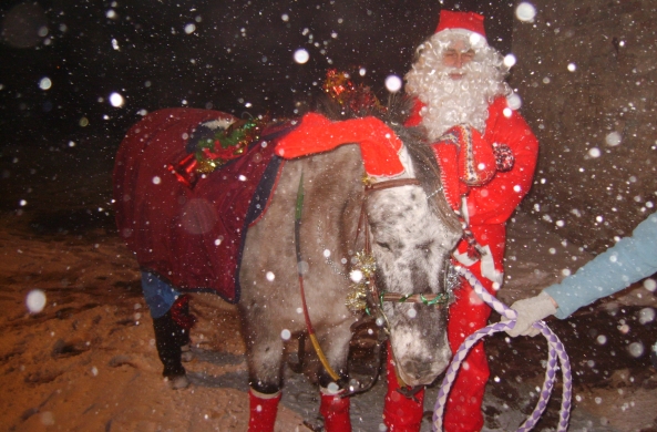 ...Vacances de Noel au Poney club