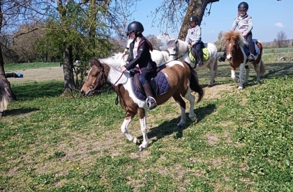 ...L'été au Poney Club de Marigny